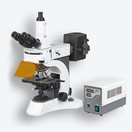 Микроскоп исследовательский люминесцентный многоканальный БЛМ-Л
